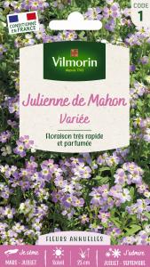 Julienne de Mahon Variée